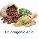 Chlorogenic acid extracted from green coffee beans